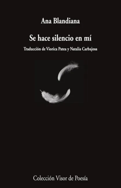 Se Hace Silencio en mi