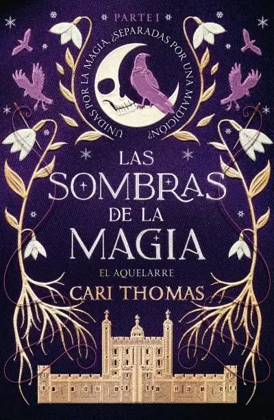 Las Sombras de la Magia (Parte 1)