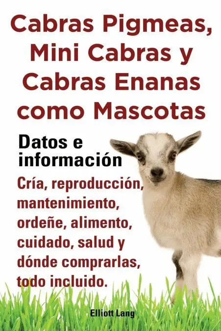 Cabras Pigmeas, Mini Cabras y Cabras Enanas Como Mascota