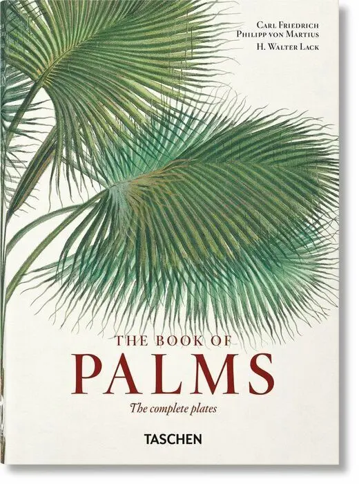The Book Of Palms