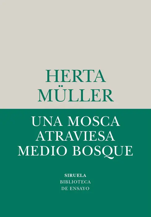 Una Mosca Atraviesa Medio Bosque