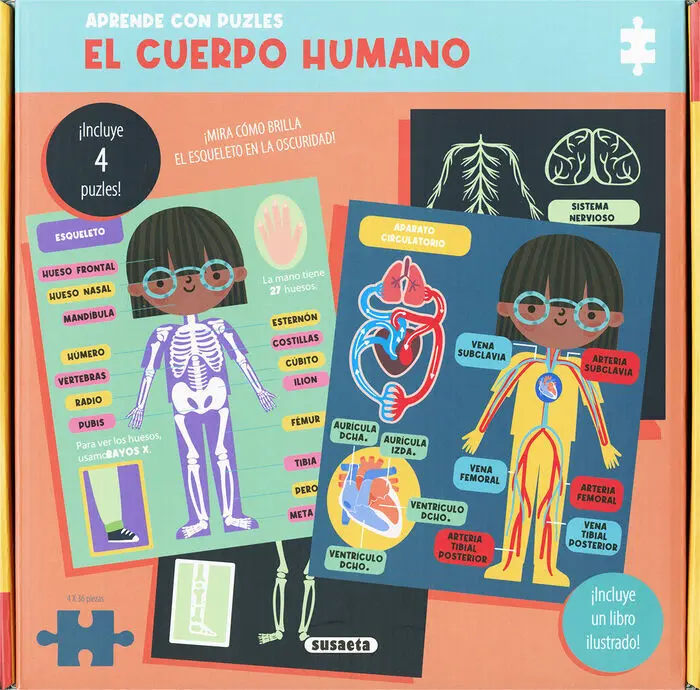 El Cuerpo Humano. Aprende con Puzles