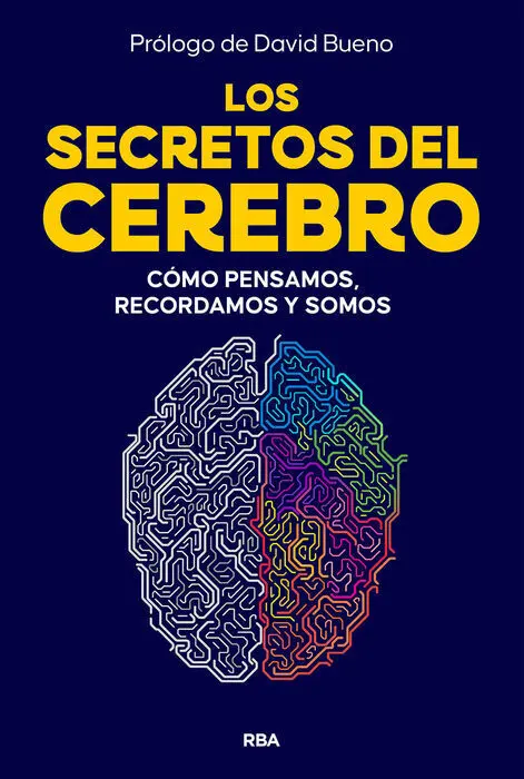 Los Secretos del Cerebro