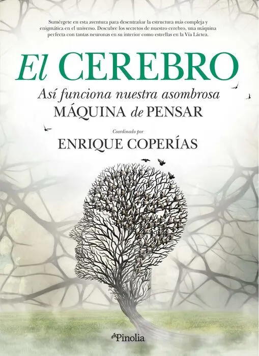 Cerebro, el