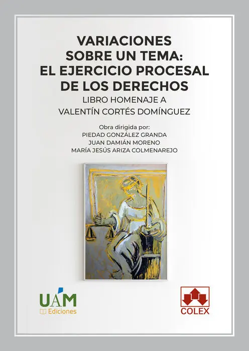 Variaciones Sobre un Tema: el Ejercicio Procesal de los Derechos