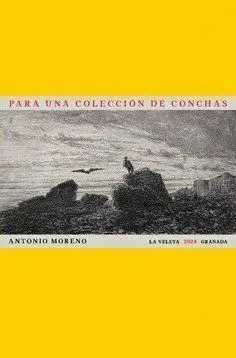 Para una Coleccion de Conchas