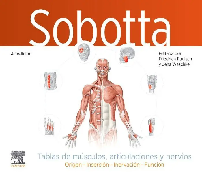 024 Sobotta Tablas de Musculos, Articulaciones y Nervios 4ª Ed