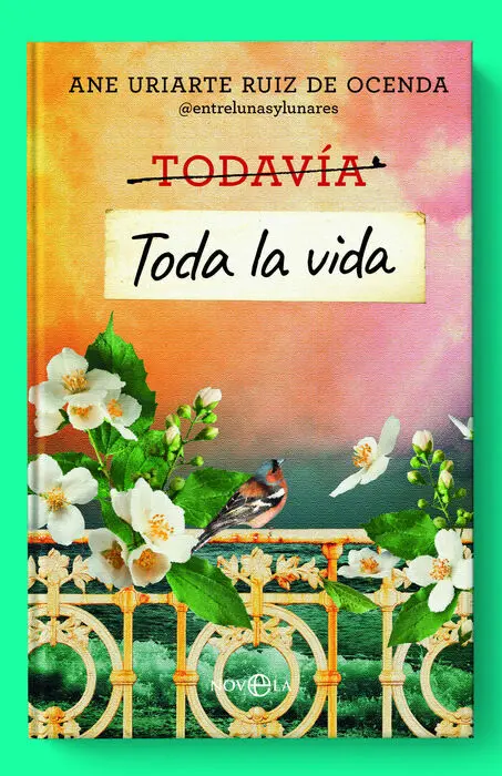 Toda la Vida