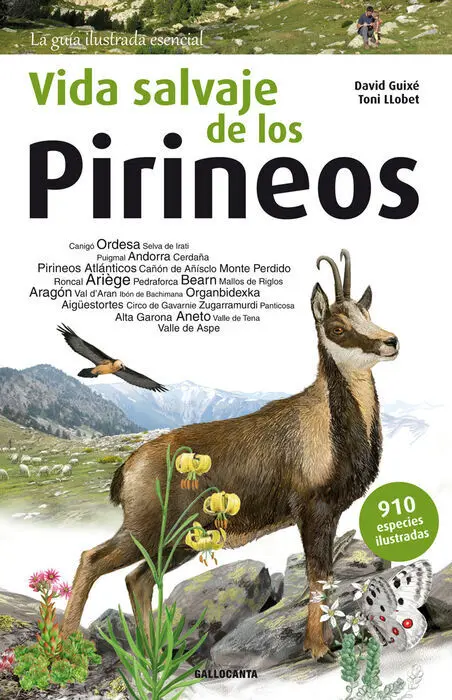 Vida Salvaje de los Pirineos