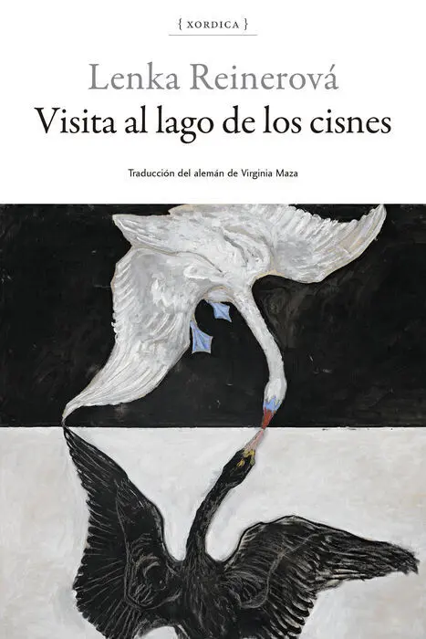 Visita Al Lago de los Cisnes