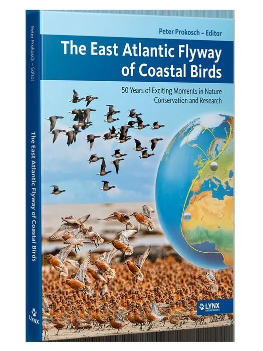 The East Atlantic Flyway Of Coastal Birds