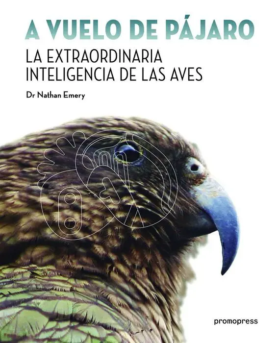 A Vuelo de Pajaro. La Extraordinaria Inteligencia de las Aves