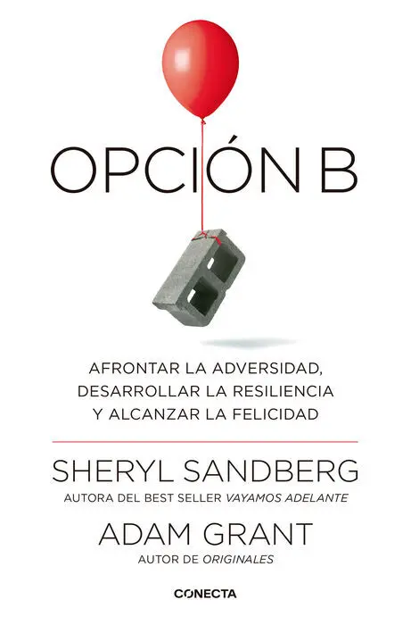 Opción B