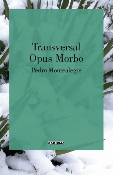 Transversal/ Opus Morbo