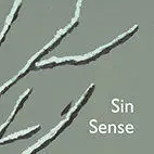Sin/ Sense