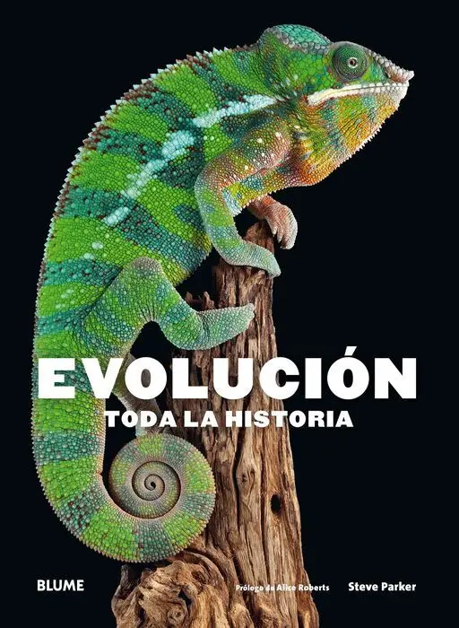 Evolución. Toda la Historia (2018)