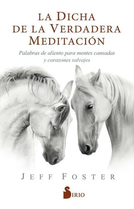 La Dicha de la Verdadera Meditación