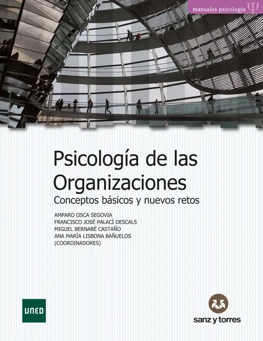 Psicología de las Organizaciones