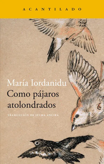 Como Pájaros Atolondrados