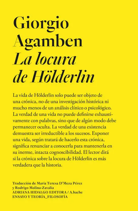 La Locura de Hölderlin
