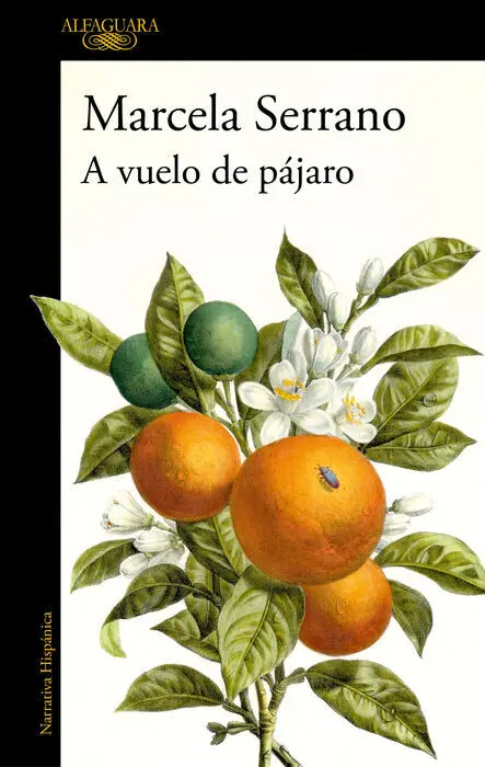 A Vuelo de Pájaro