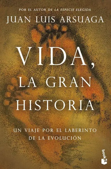 Vida, la Gran Historia