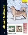 Alaskan Malamute