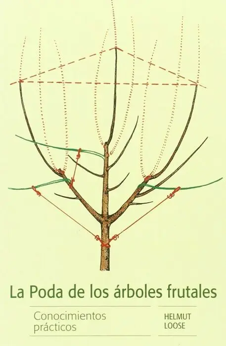 La Poda de los Arboles Frutales