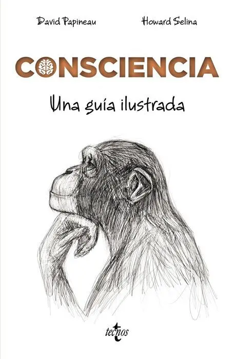 Consciencia. Una Guía Ilustrada