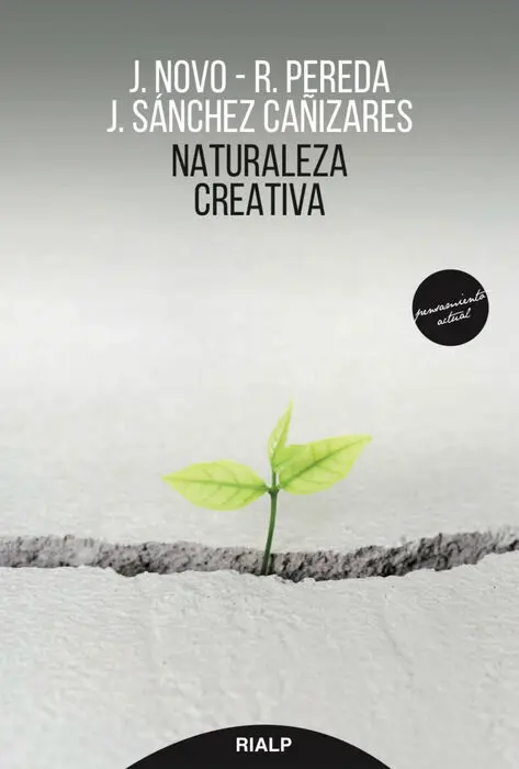 Naturaleza Creativa