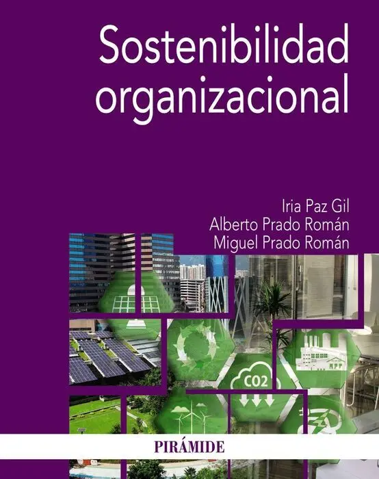 Sostenibilidad Organizacional