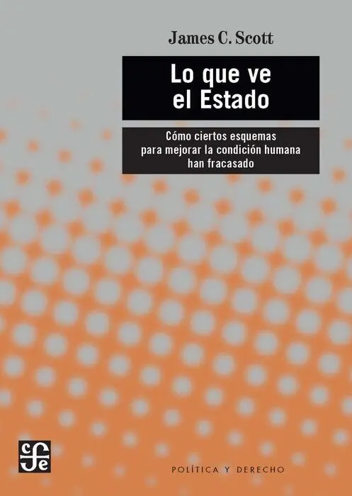 Lo que Ve el Estado