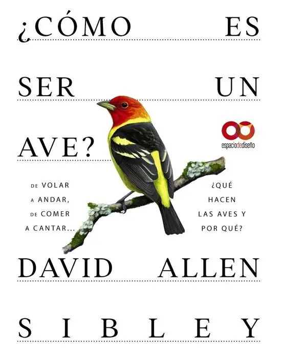¿Cómo Es Ser un Ave? de Volar a Anidar, de Comer a Cantar... ¿Qué Hacen las Aves