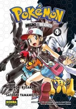Pokemon 26 Negro y Blanco 1