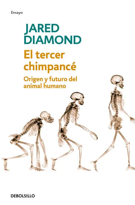 Tercer Chimpance, el