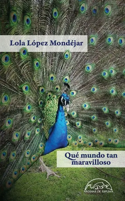 Que Mundo Tan Maravilloso