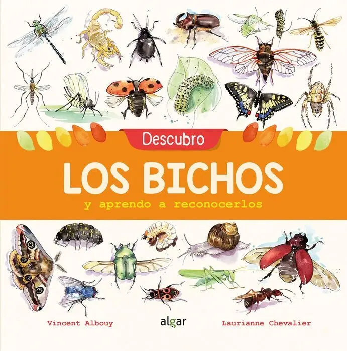 Descubro los Bichos y Aprendo a Reconocerlos