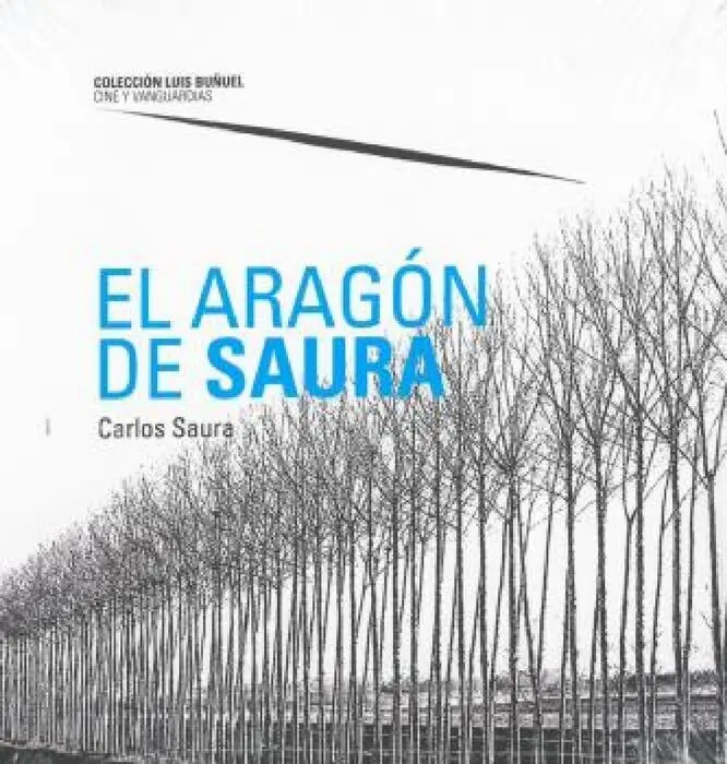 El Aragã?³N de Saura