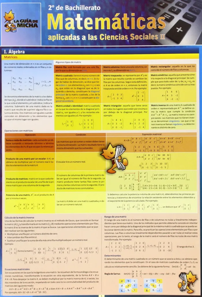 Matematicas Aplicadas a las Ciencias Sociales. 2Bach. (La Guia de Micha)