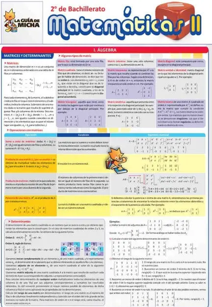 Matematicas Ii. 2Bach. (La Guia de Micha)