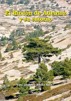 El Rincã?³N de Ademuz y Su Entorno