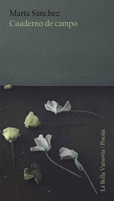 Cuaderno de Campo