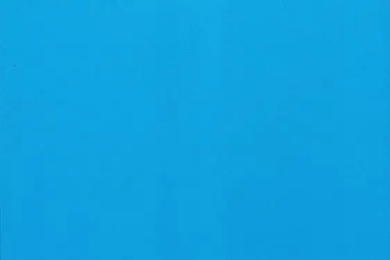 El Libro Azul