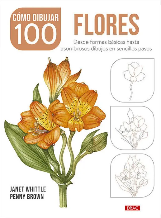 Cómo Dibujar 100 Flores