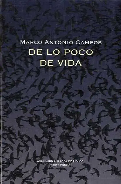 De lo Poco de Vida