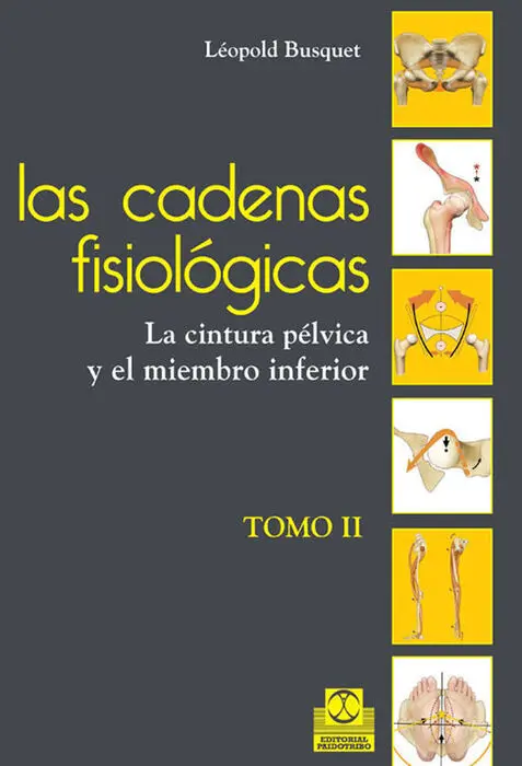 T2 las Cadenas Fisiologicas