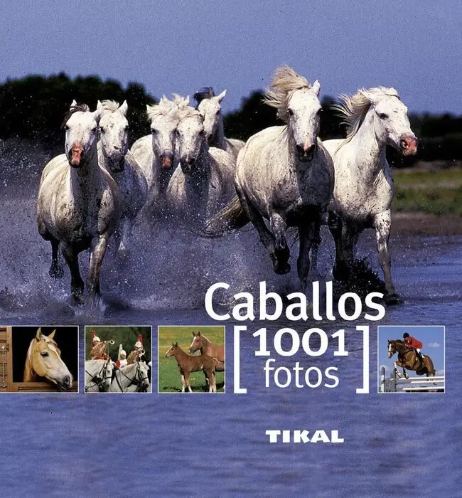 Caballos ( 1001 Fotos ) Ref. 261-04