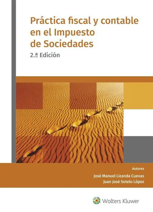 Práctica Fiscal y Contable en el Impuesto de Sociedades (2. ª Edic