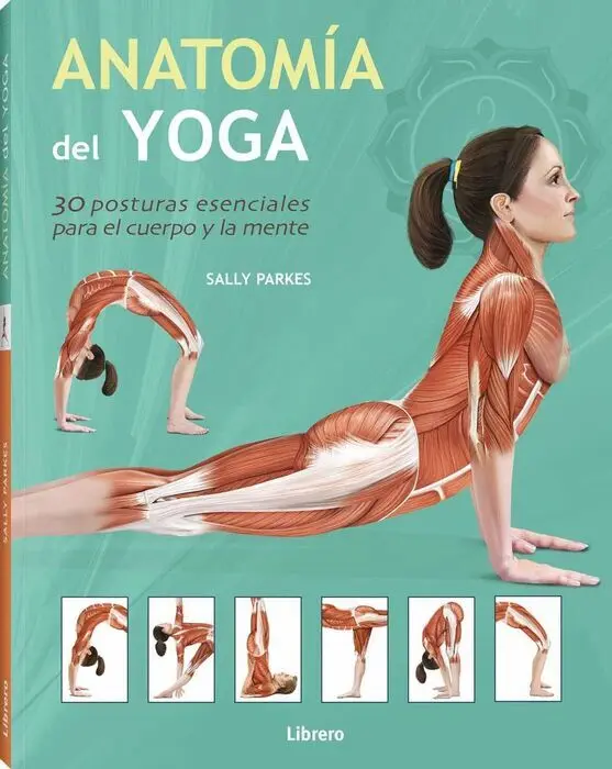 Anatomia del Yoga